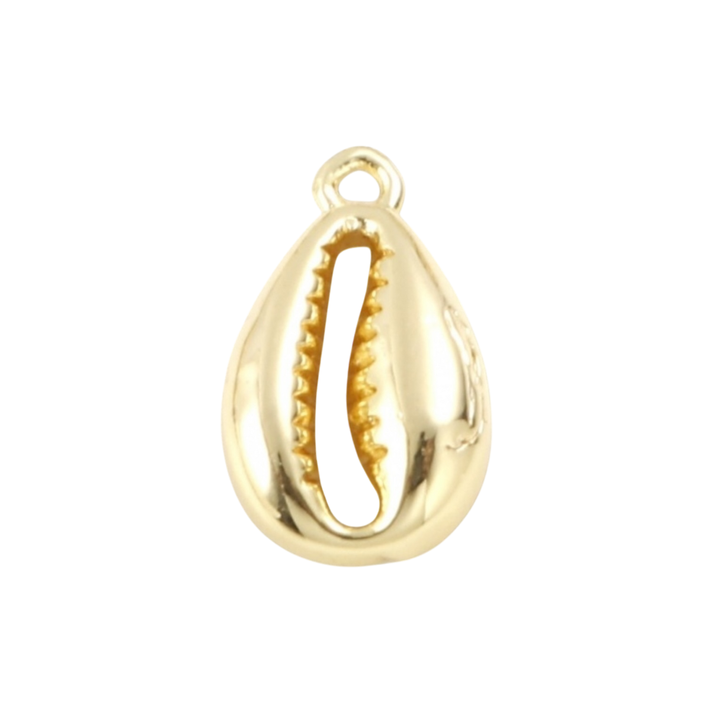 gold cowrie shell charm