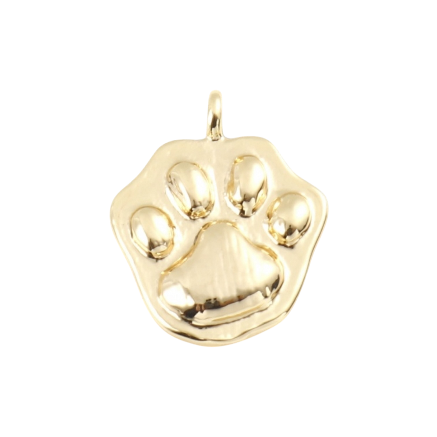 gold paw charm (1)