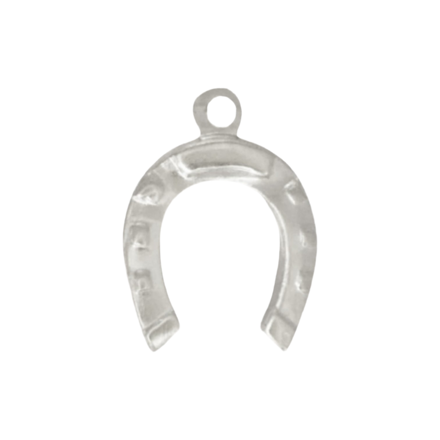 silver horseshoe charm