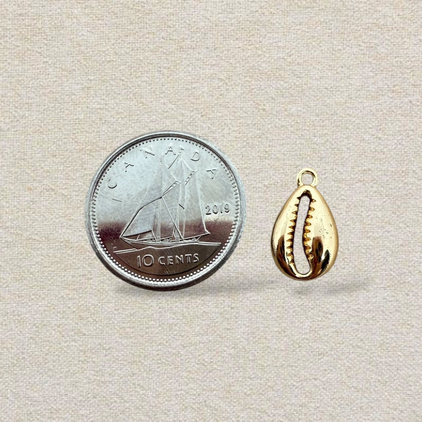 gold cowrie shell charm
