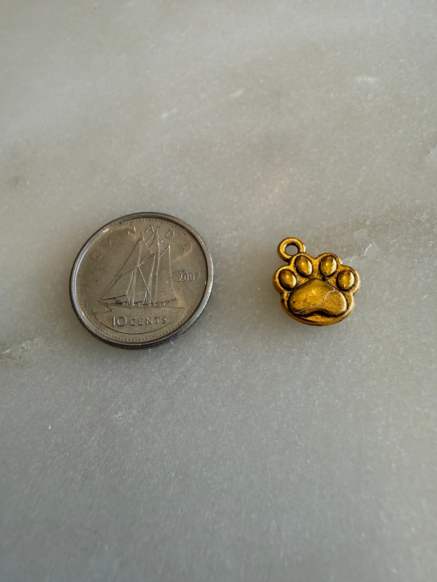paw charm gold (2)