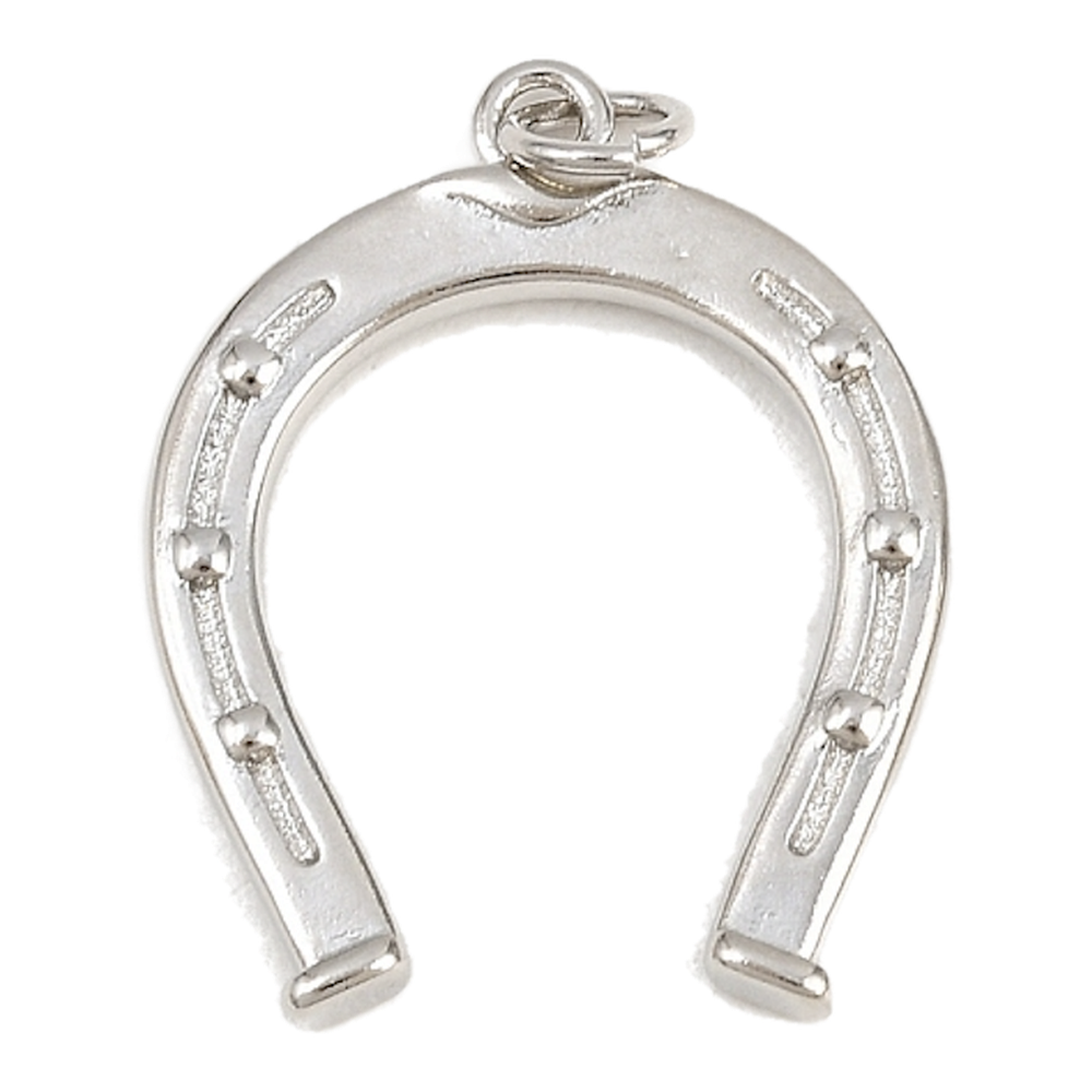 silver horseshoe charm