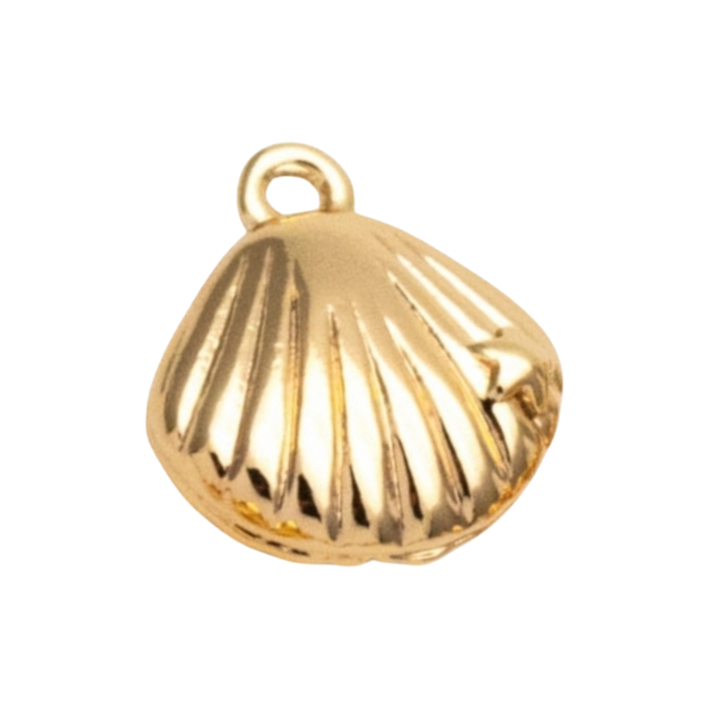 gold shell charm