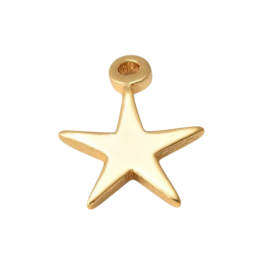 gold star charm (mini)