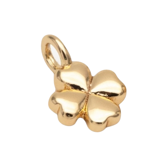 gold lucky charm