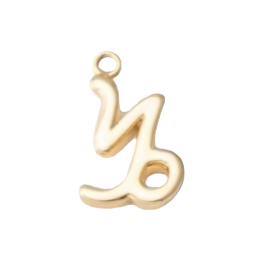 gold horoscope charms capricorn