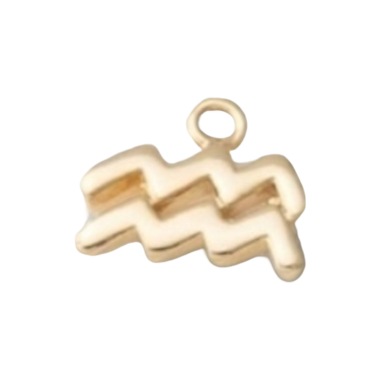 gold horoscope charms aquarius
