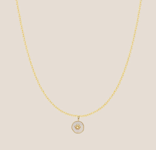 IBC X PAWS necklace