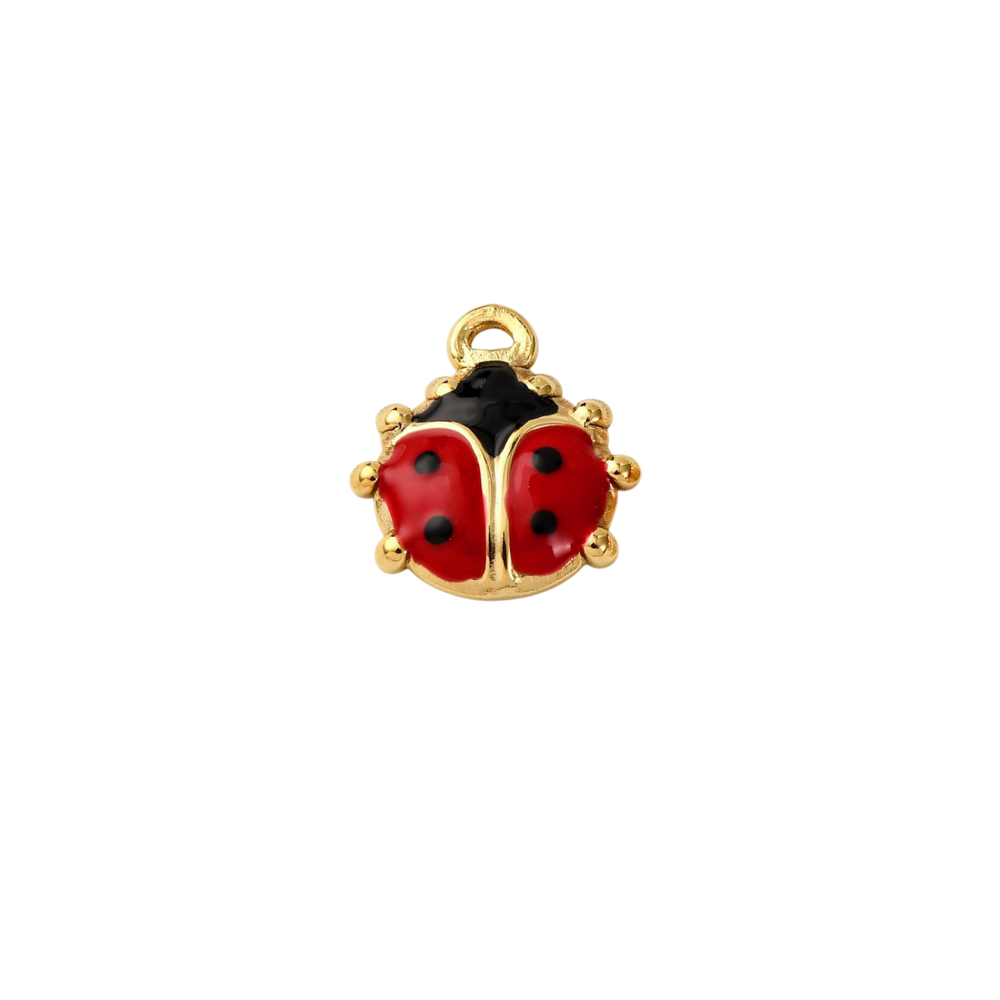 ladybug charm