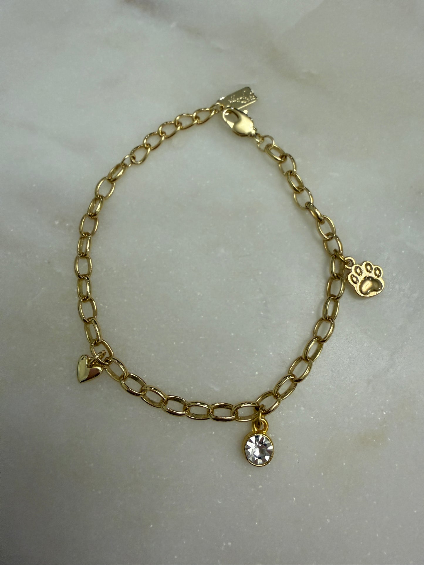 IBC X PAWS charm bracelet