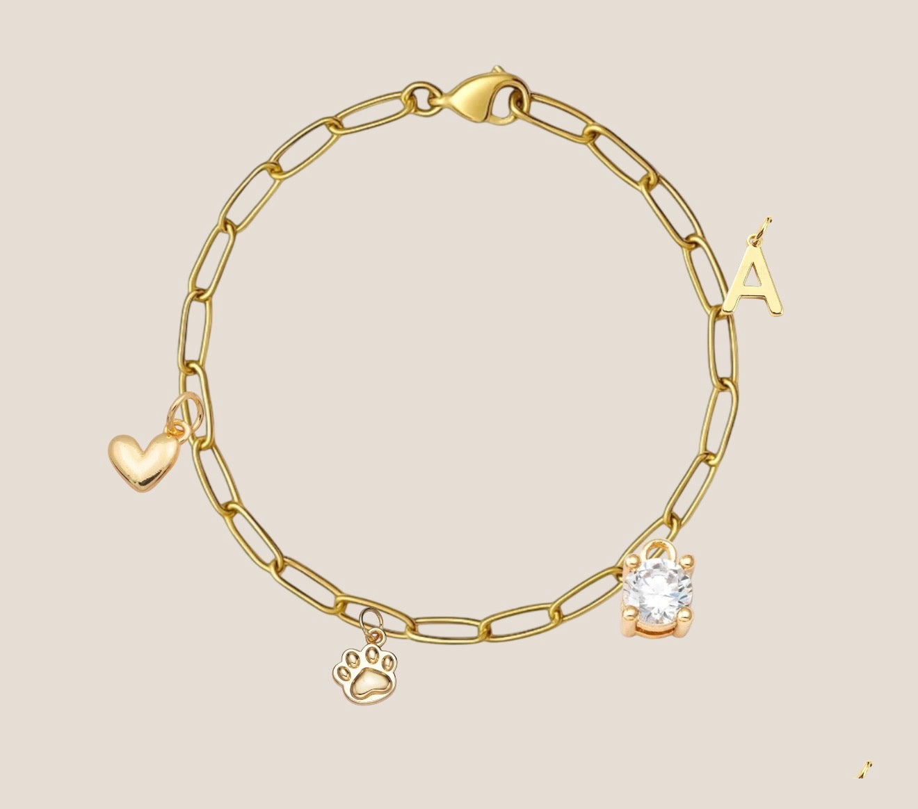 IBC X PAWS charm bracelet