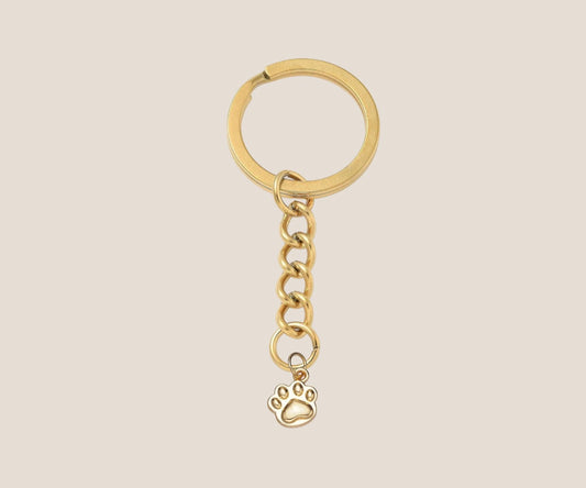 IBC X PAWS keychain gold paw  (2)