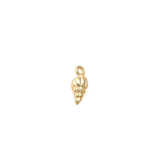conch seashell charm