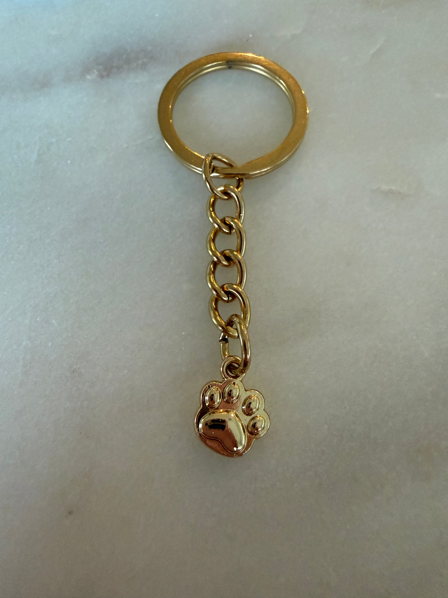 IBC X PAWS keychain gold paw  (2)