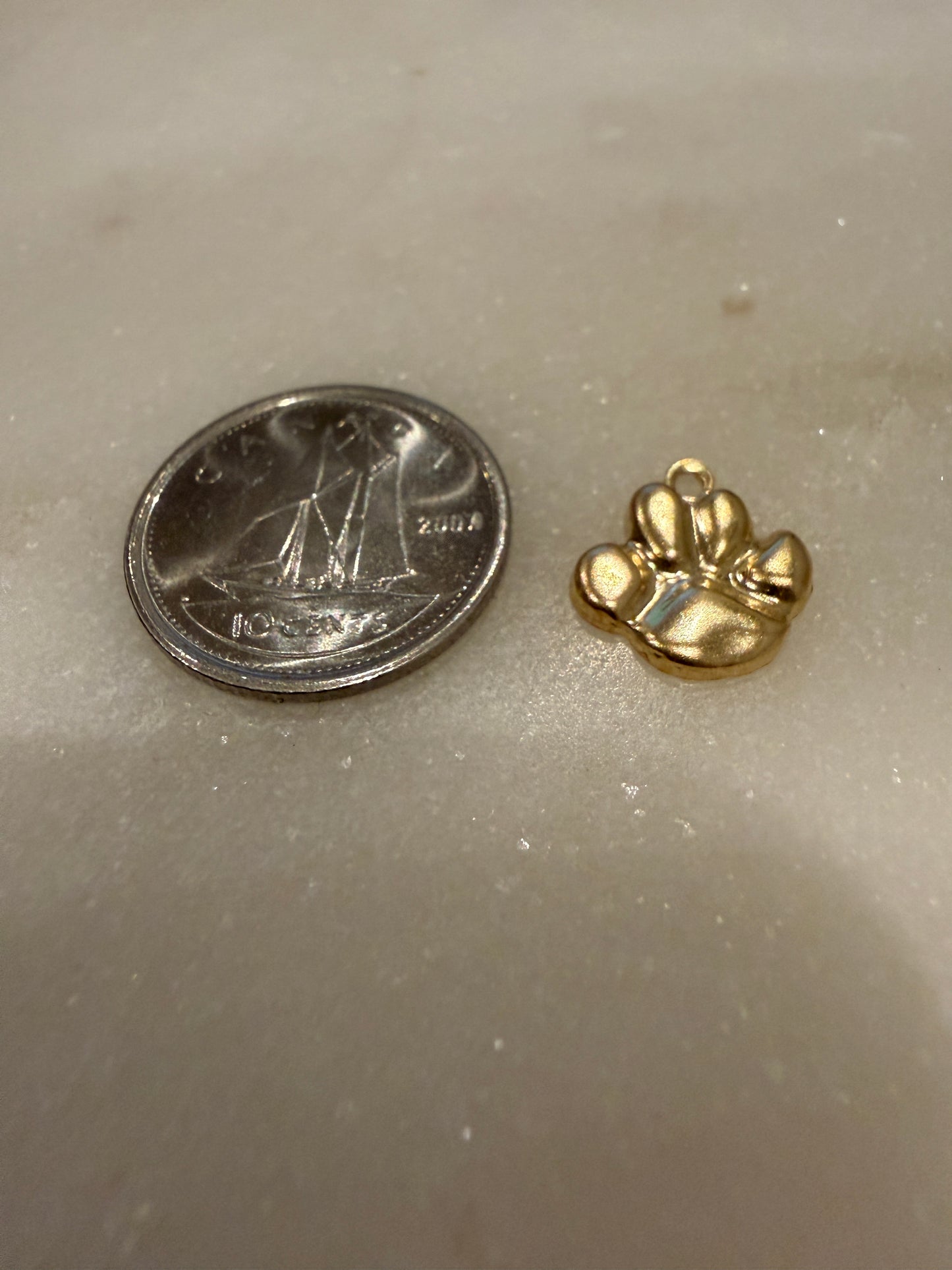 paw charm *14k gold filled*